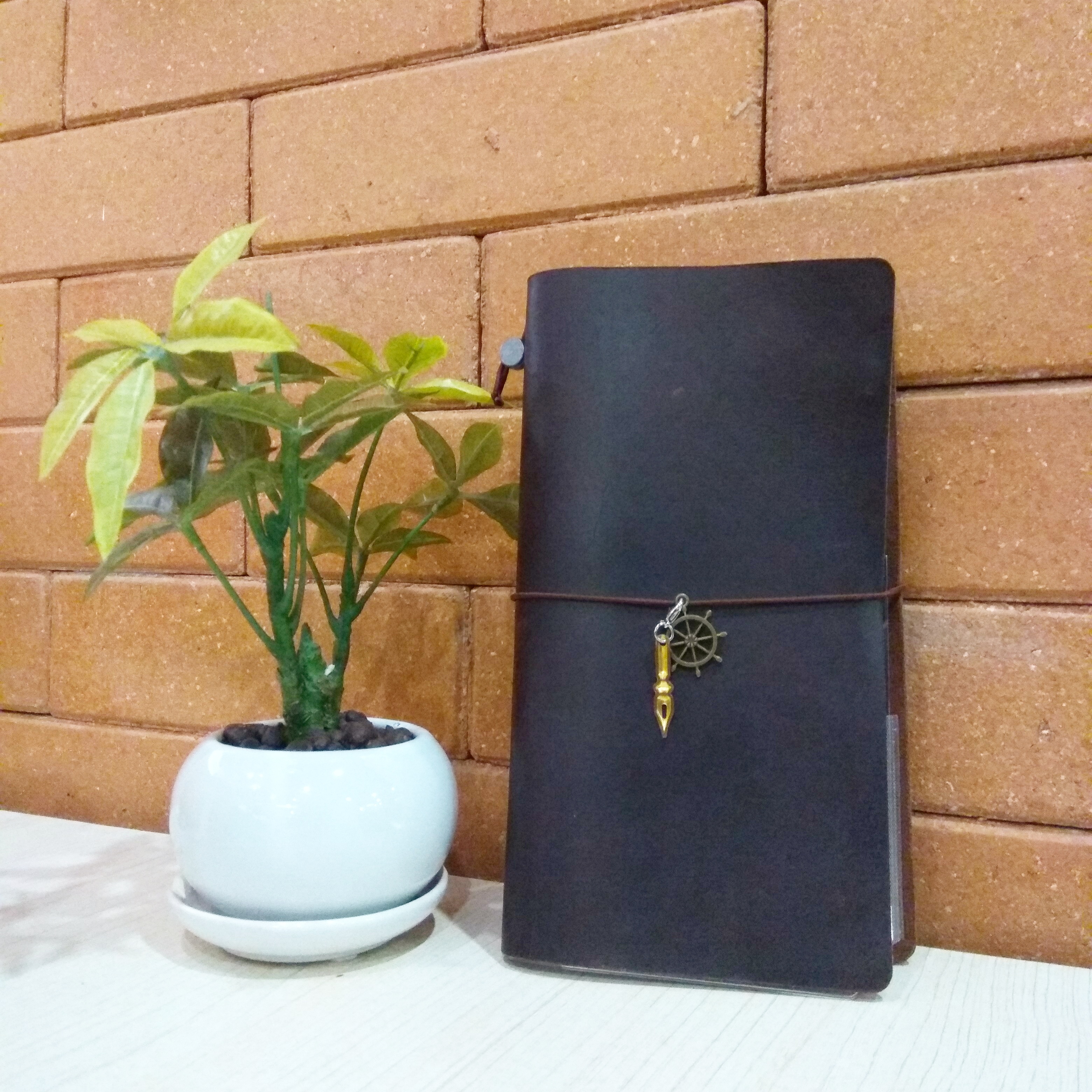 IMG_20171007_205019_197