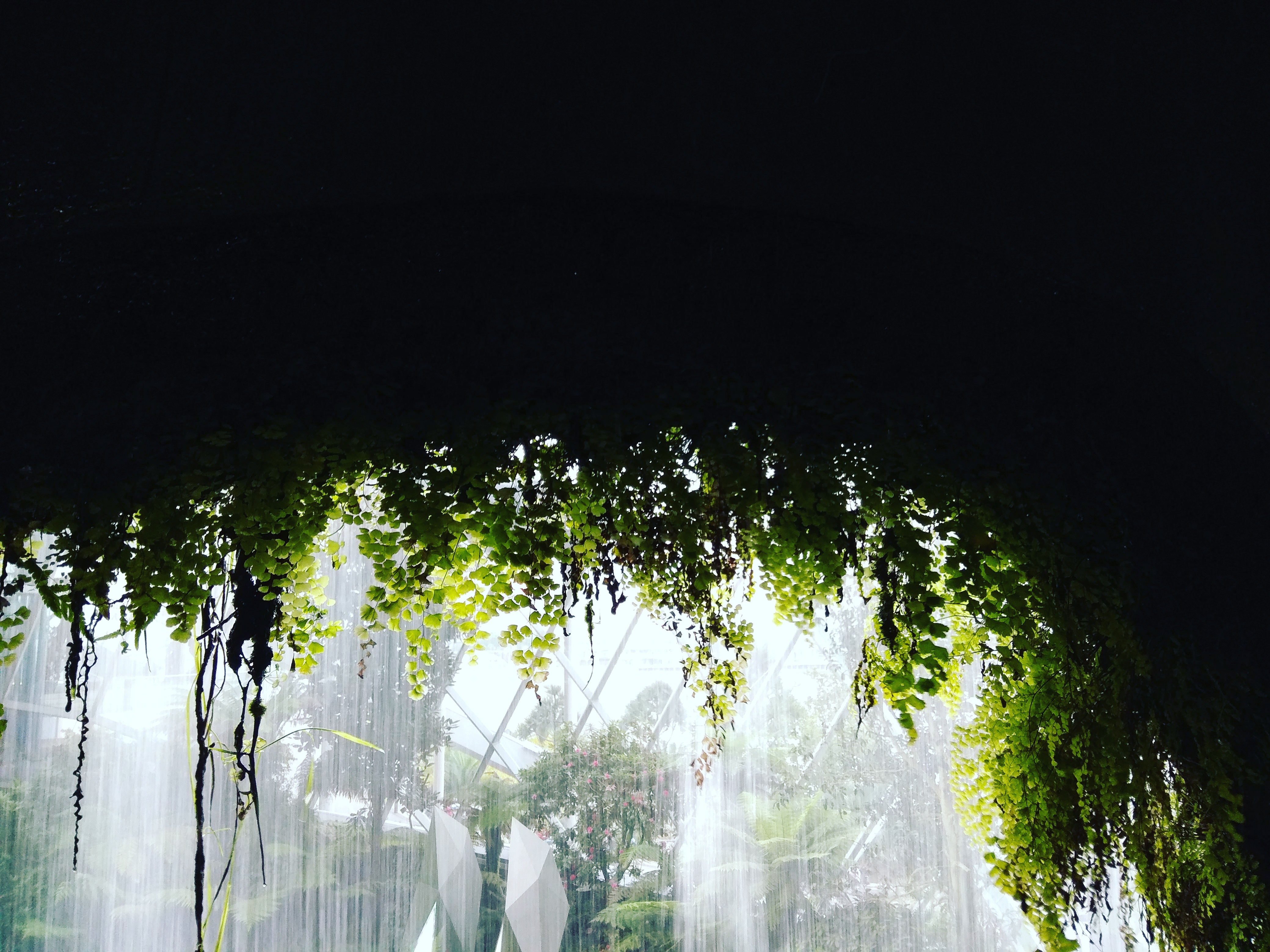 IMG_20171209_192842_647