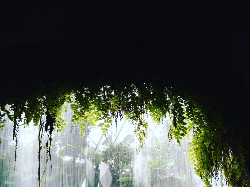 IMG_20171209_192842_647