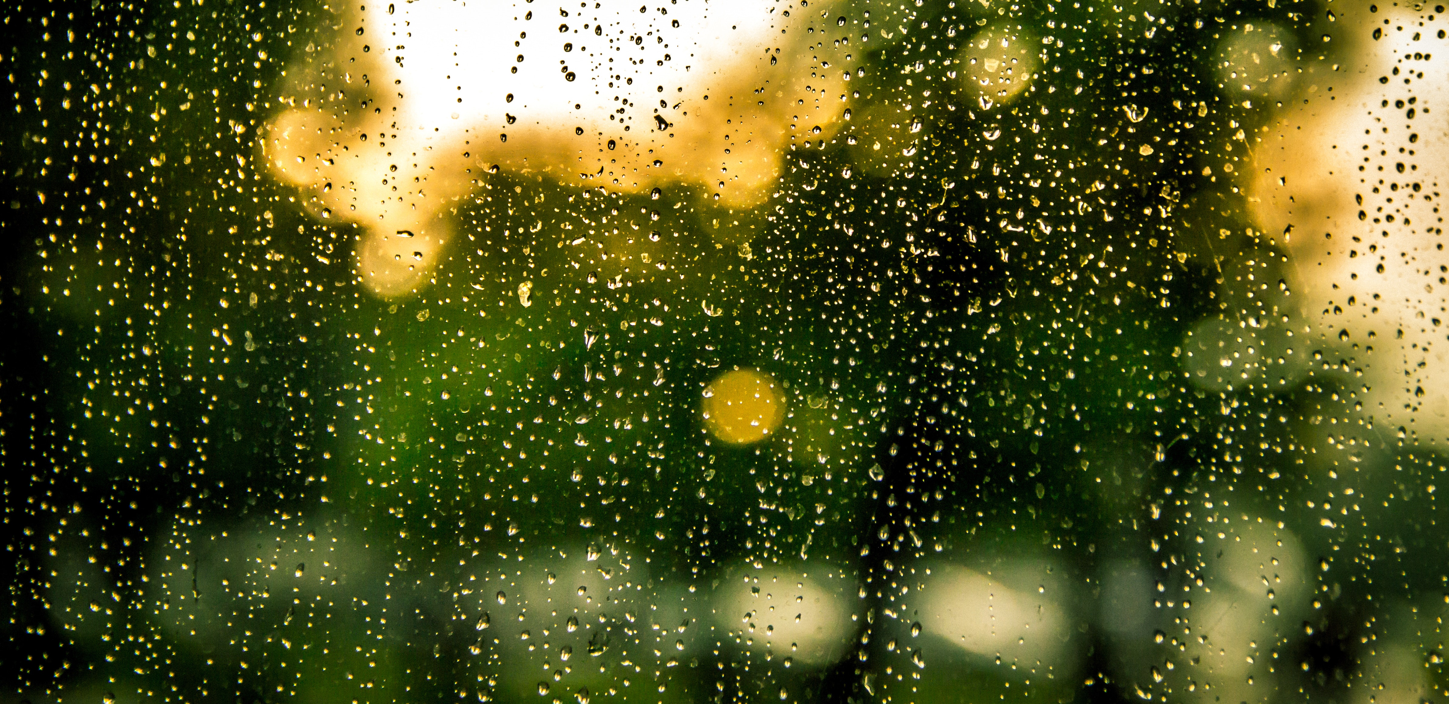 bokeh-drops-of-water-rain-8486.jpg
